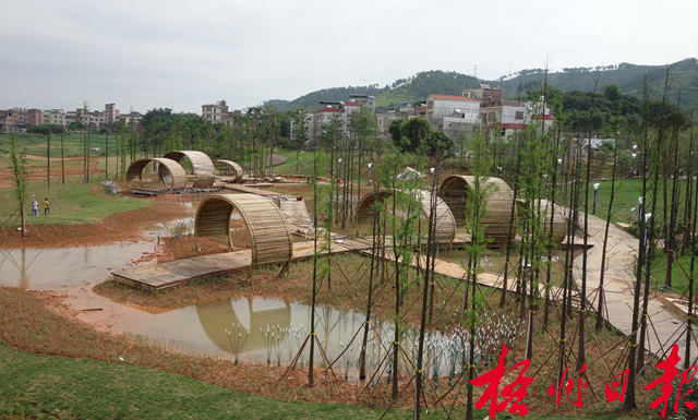 親水景觀點綴濕地生態園