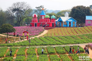 東莞松湖生態(tài)園團(tuán)隊(duì)旅游休閑度假田園生活戶(hù)外農(nóng)家樂(lè)