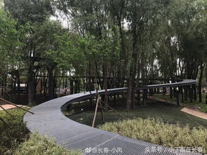 長(zhǎng)春水文化生態(tài)園 預(yù)計(jì)十一前開(kāi)放