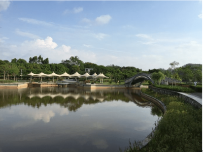 東進(jìn)下的坪山，你還認(rèn)識(shí)嗎？探秘生態(tài)園新篇